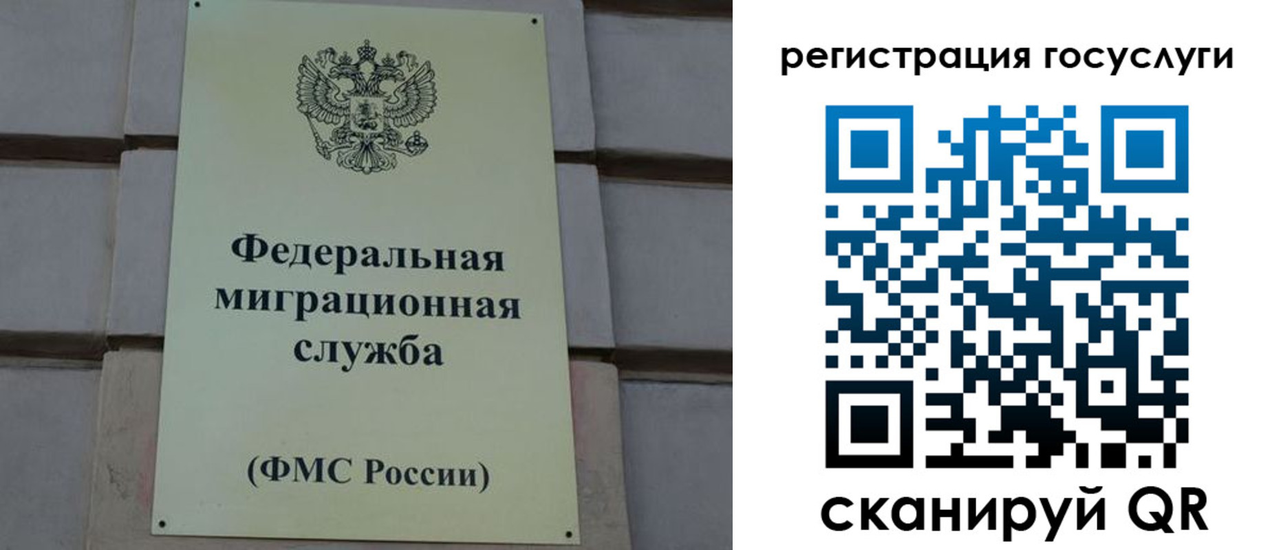 временная регистрация поиск в Новозыбкове